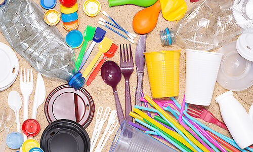 Collection of single-use plastic items
