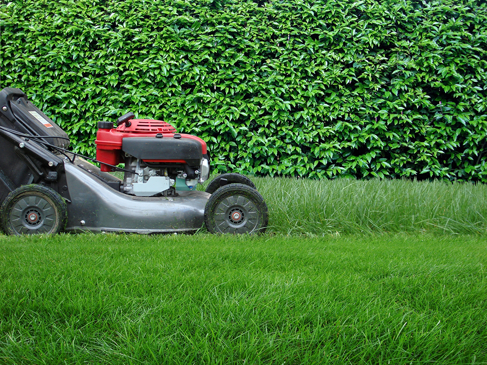 Lawnmower mowing the lawn